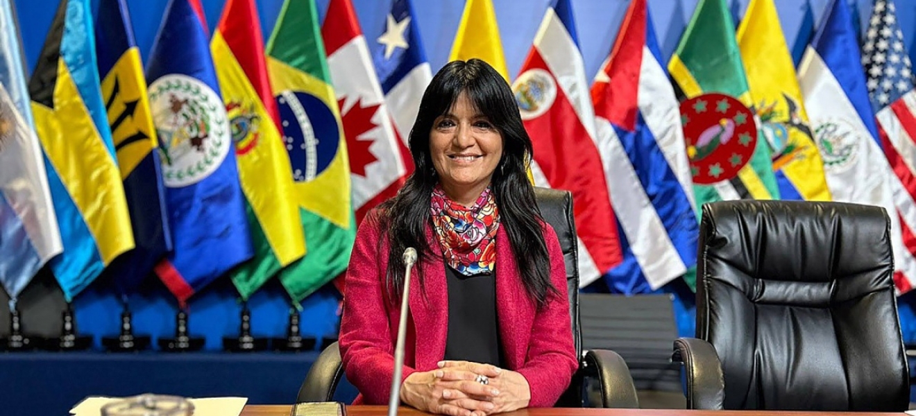 Los femicidios son "muertes evitables", afirmó la presidenta de la Comisión Interamericana de DDHH